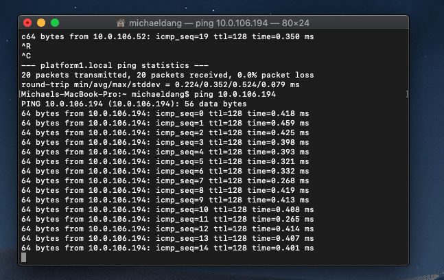Ping the server from a workstation - Screenshot