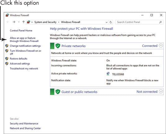 Firewall exceptions- screenshot