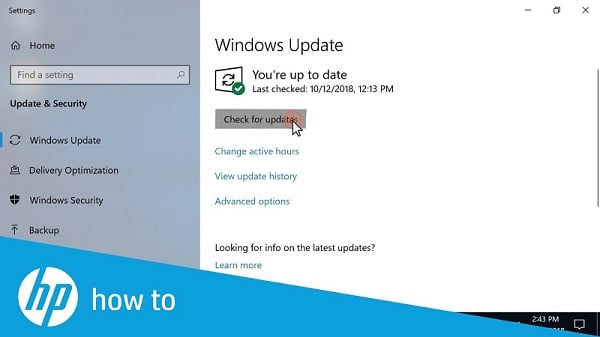 Update the Windows 10 (Check for updates) - Screenshot Image