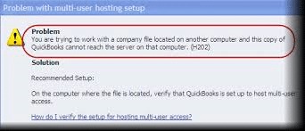 Error h202 (Problem with Multi-user Access) - Screenshot