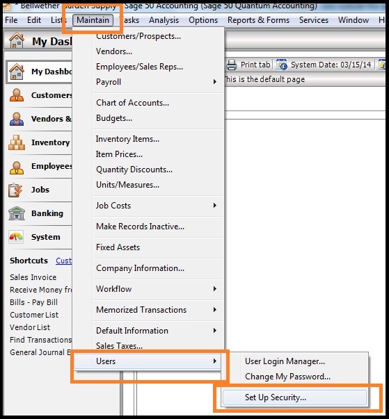 Set up the data access credentials in Sage - Screenshot