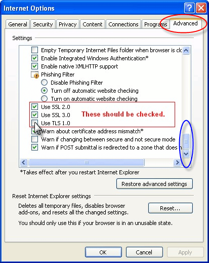 Use SSL 2.0, Use SSL 3.0 and Use TLS 1.0 are checked - Screenshot