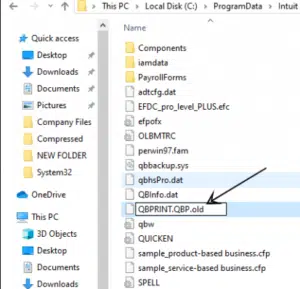 Rename the the QBPrint.QBP file - Image