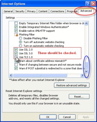 Use SSL 2.0 Use SSL 3.0 and Use TLS 1.0 are checked - Screenshot